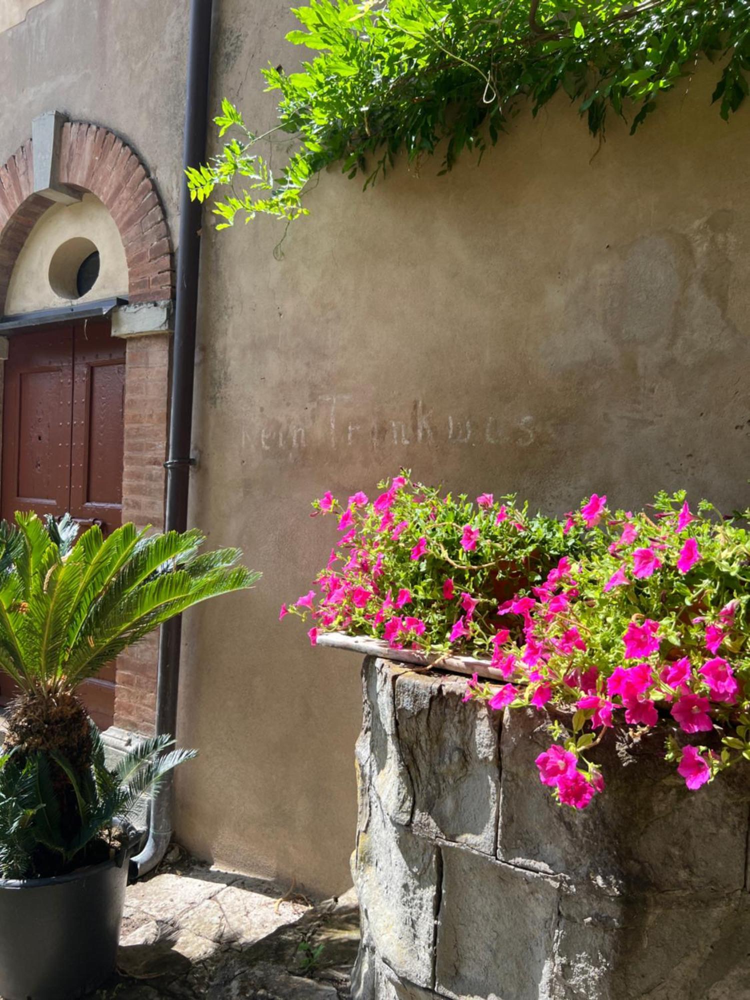 Casa Barattini Acomodação com café da manhã Zocchetta Exterior foto